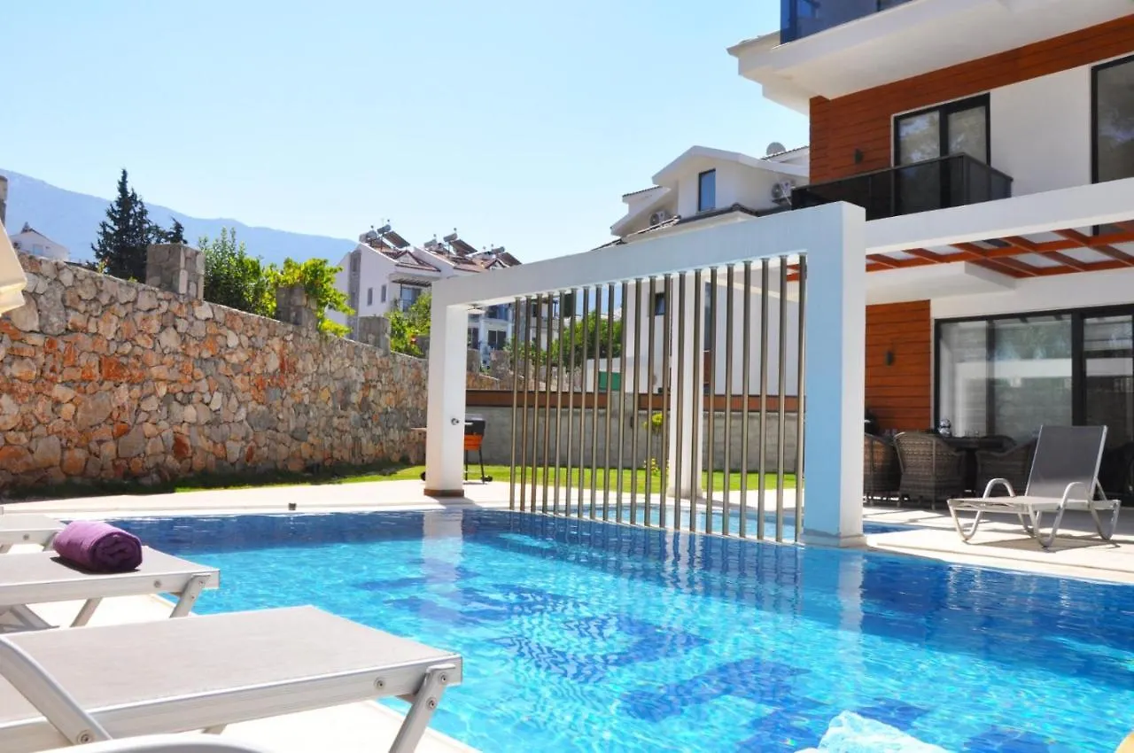 Hisar Prestige D Villa Fethiye Turkije